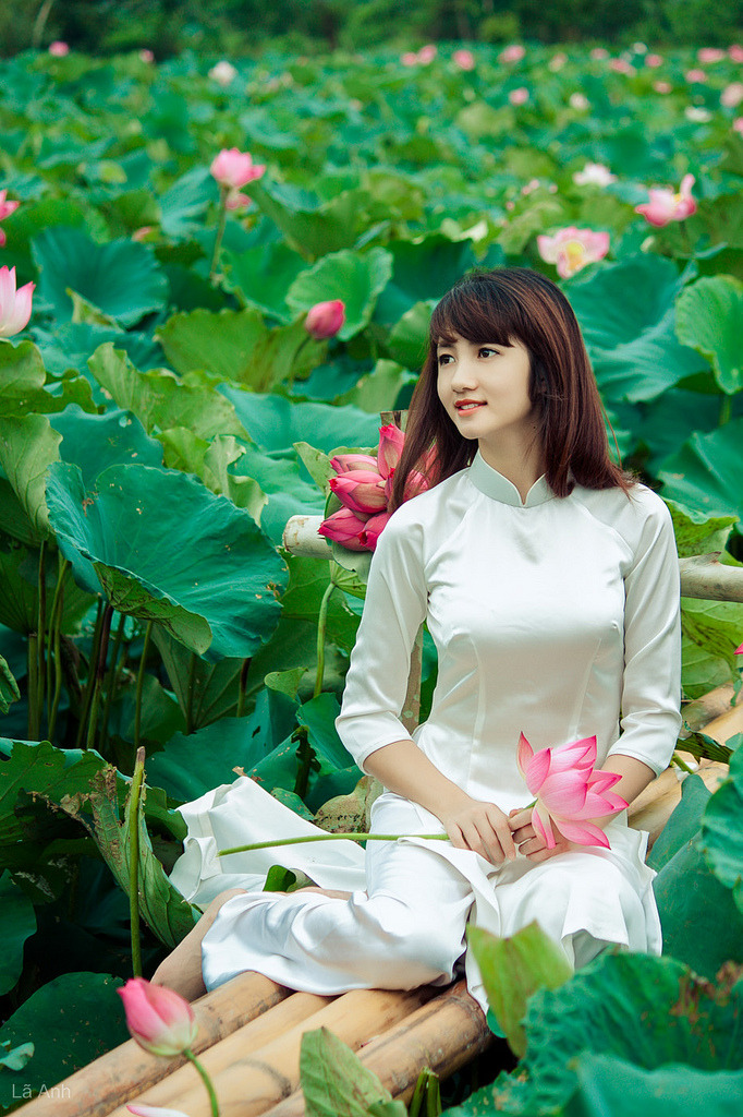 她的中尉先生动漫又叫什么